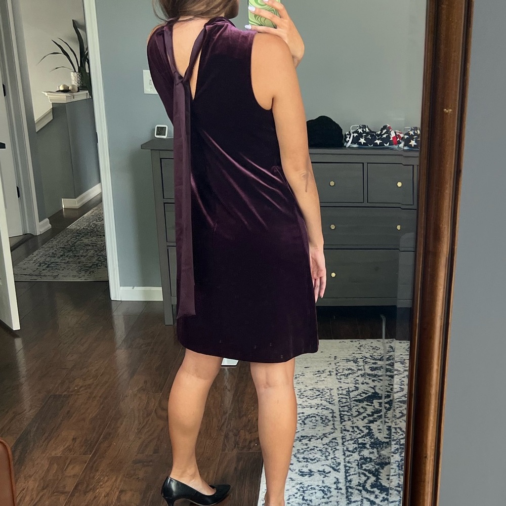 Plum Velvet Dress - Picture 12 of 12
